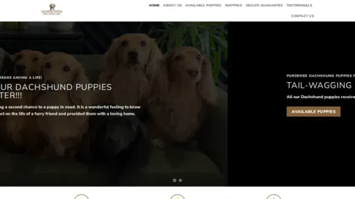 A screenshot of Dachshundpuppiesforadoption.com