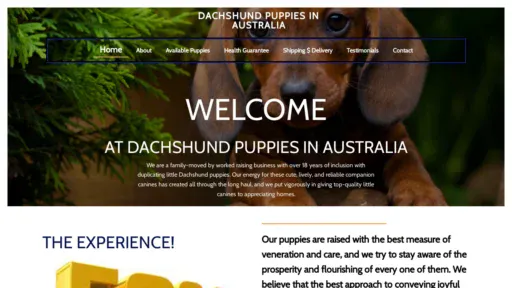 A screenshot of Dachshundpuppiesinaustralia.com
