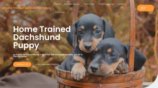 A screenshot of Dachshundpuppy.online