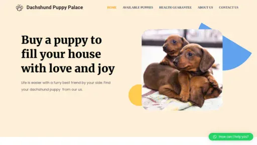 A screenshot of Dachshundpuppypalace.com