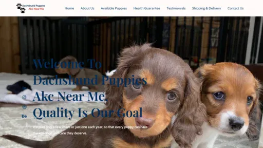 A screenshot of Dachshundpupsakcnearme.com
