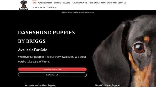 A screenshot of Dachshundpupsbybriggs.com