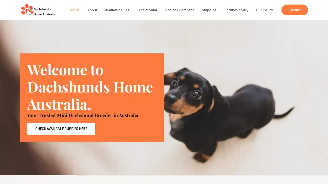 is Home - Dachshunds Home Australia legit? screenshot