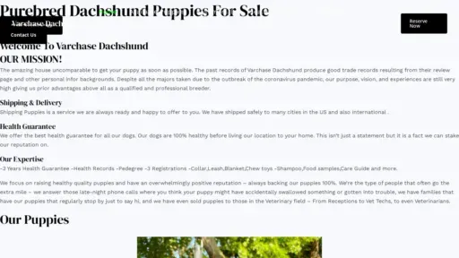 A screenshot of Dachshundvarchase.com