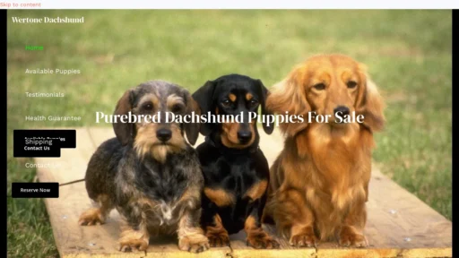 A screenshot of Dachshundwertone.com