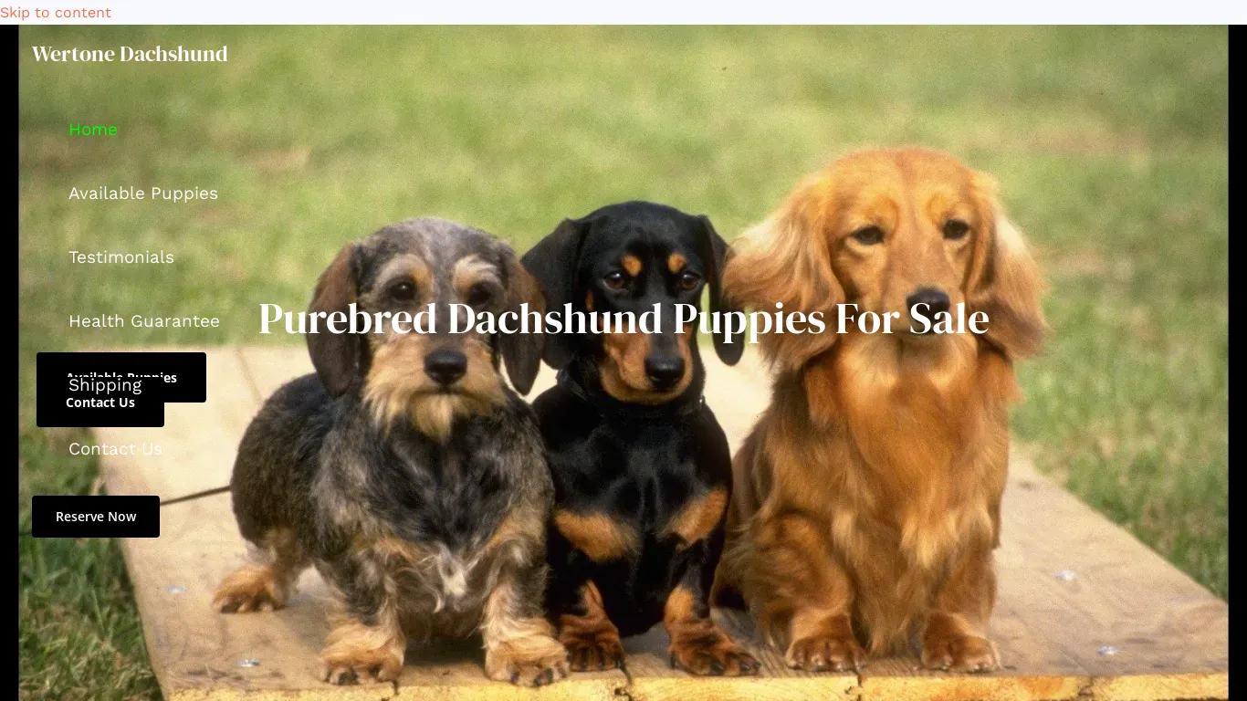 is dachshundwertone.com legit? screenshot