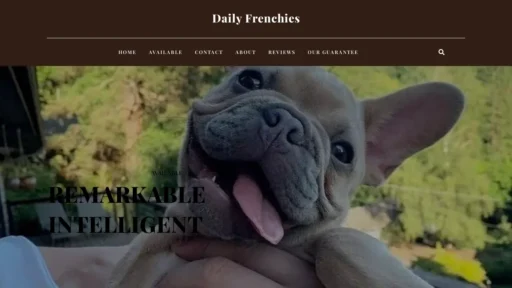 A screenshot of Dailydoseoffrenchies.com