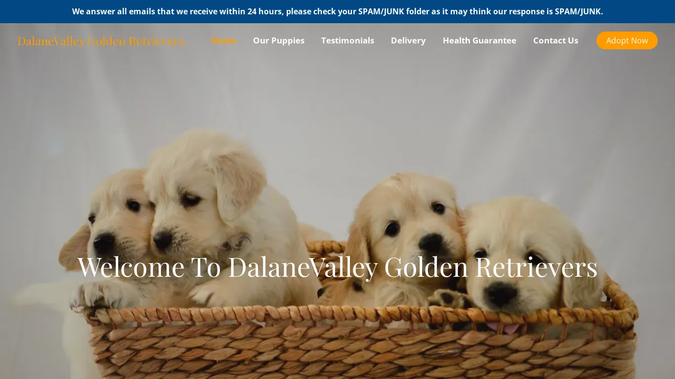 is DalaneValley Golden Retrievers – Purebred Golden Retrievers For Sale legit? screenshot