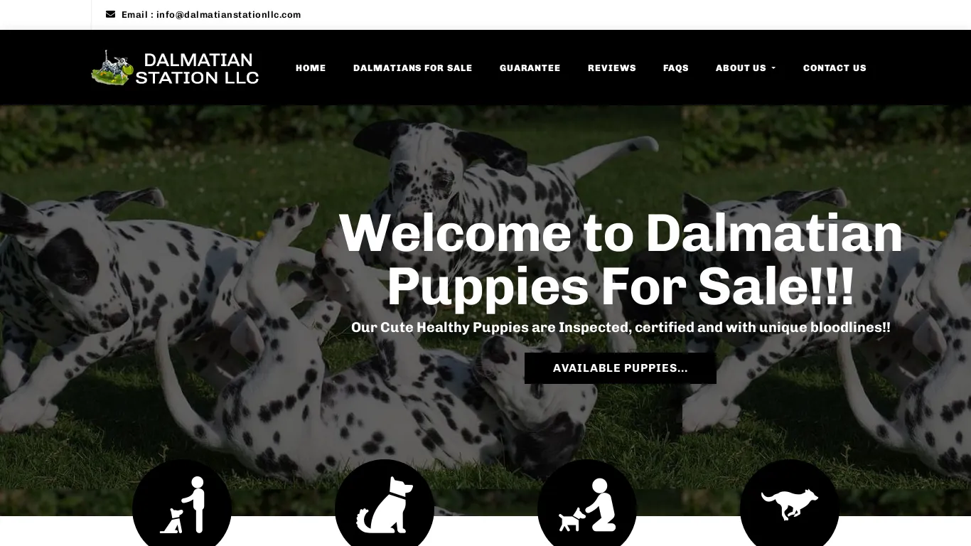 is dalmatianstationllc.com legit? screenshot