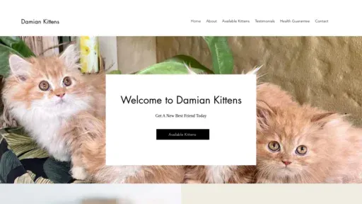 A screenshot of Damiankittens.com
