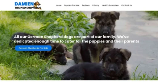A screenshot of Genlanfamilystbernard.com