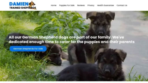 A screenshot of Genlanfamilystbernard.com