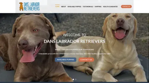 A screenshot of Danslabradorretriever.com
