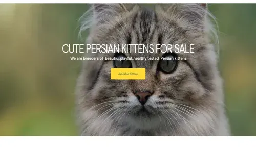 A screenshot of Genlanfamilystbernard.com