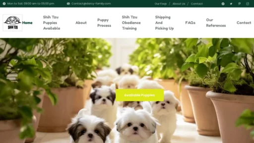 A screenshot of Darcy-family.com