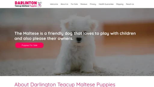 A screenshot of Darlingtonteacupmaltesepuppies.com