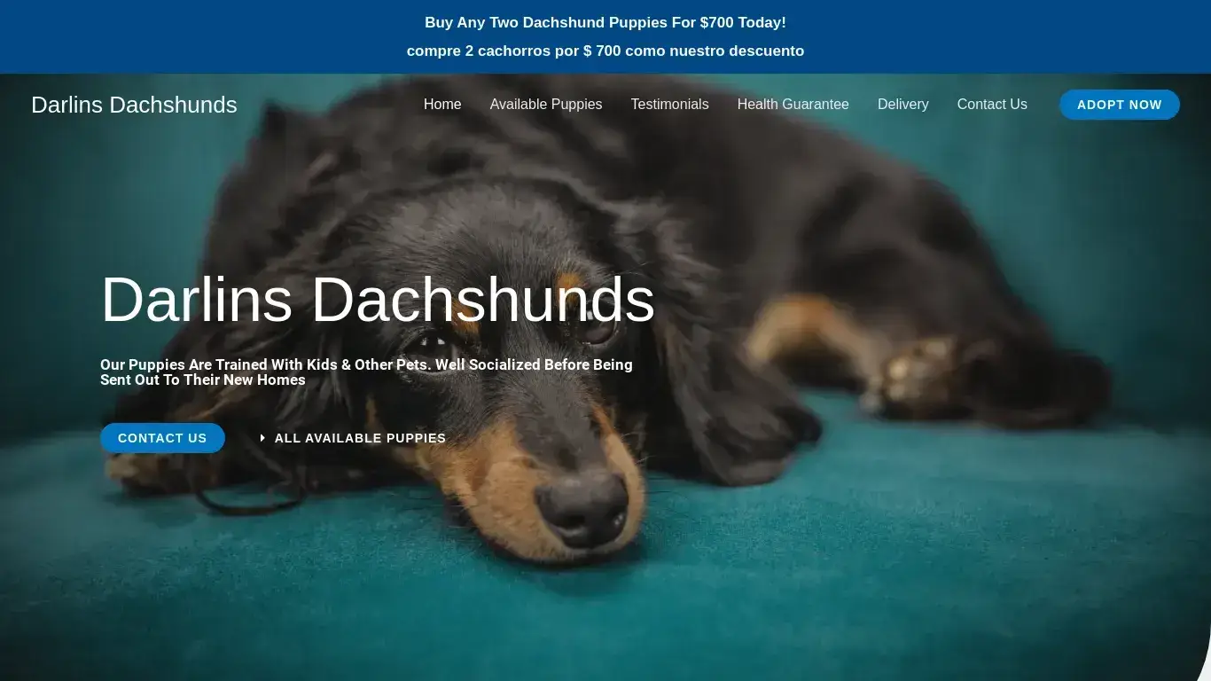 is Darlins Dachshunds – Purebred Dachshund Puppies For Sale legit? screenshot