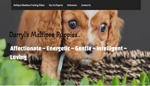 A screenshot of Genlanfamilystbernard.com