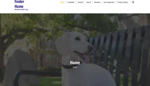 A screenshot of Genlanfamilystbernard.com