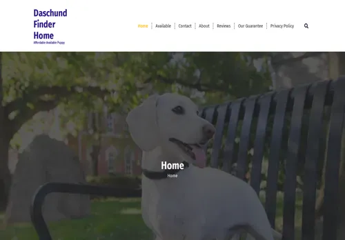is daschundfinder.com legit? screenshot
