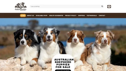 A screenshot of Dashingaussie.com