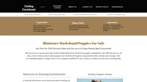 A screenshot of Dashingdachshundpuppies.com