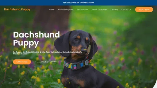 A screenshot of Dashshundpuppy.com