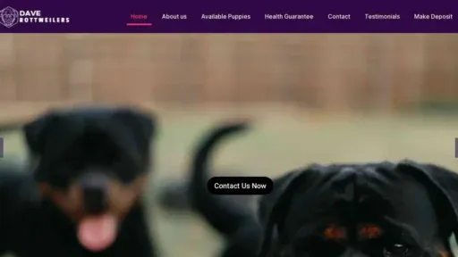 A screenshot of Genlanfamilystbernard.com