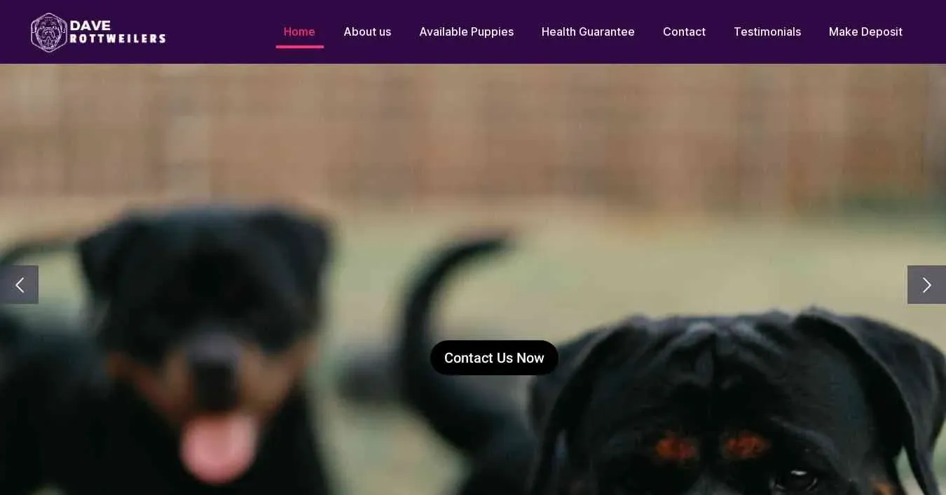 is daverottweilers.com legit? screenshot