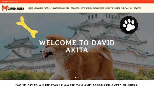 A screenshot of Davidakita.com