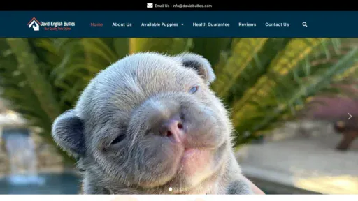 A screenshot of Davidbullies.com