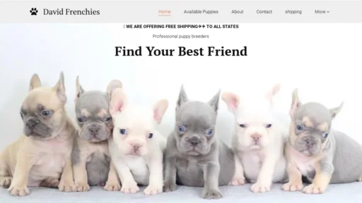 A screenshot of Davidfrenchiepuppies.shop