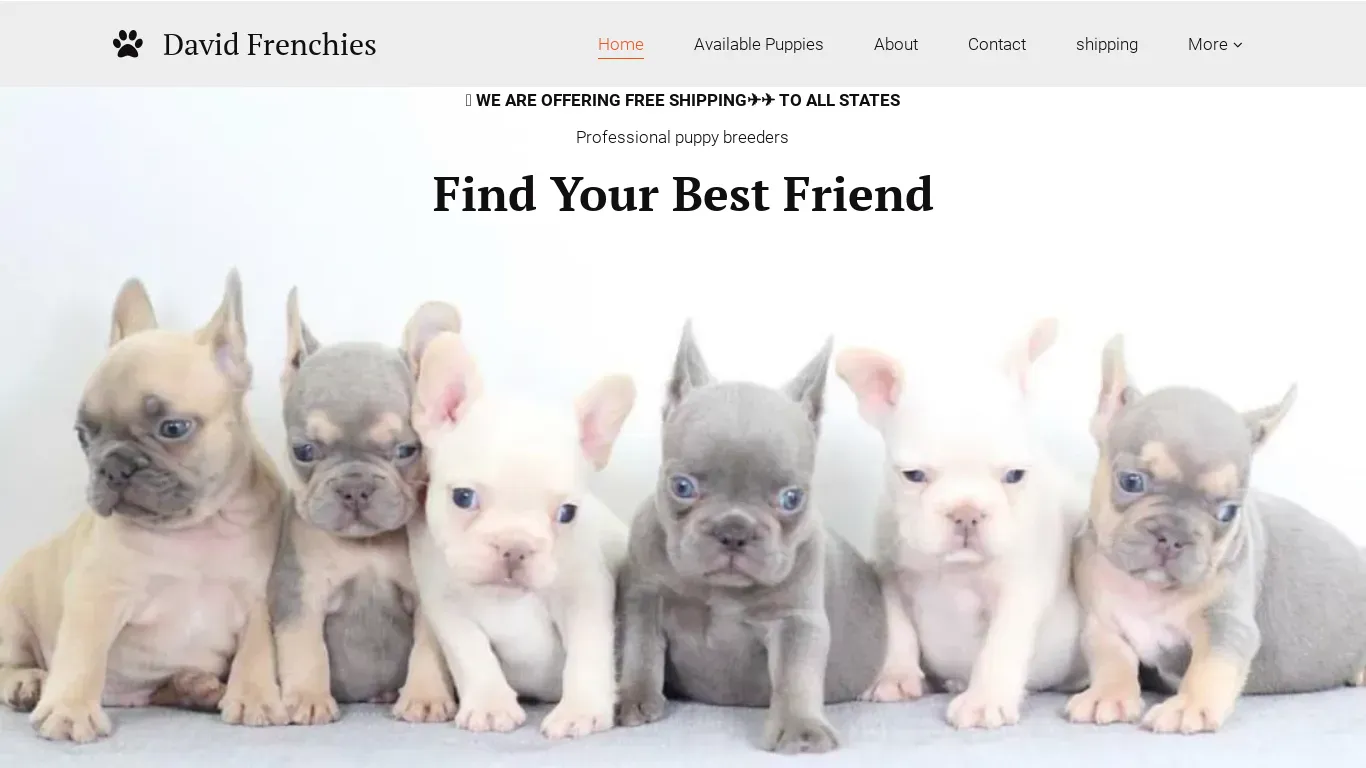 is davidfrenchiepuppies.shop legit? screenshot