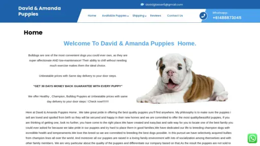 A screenshot of Davidnamandapuppies.com