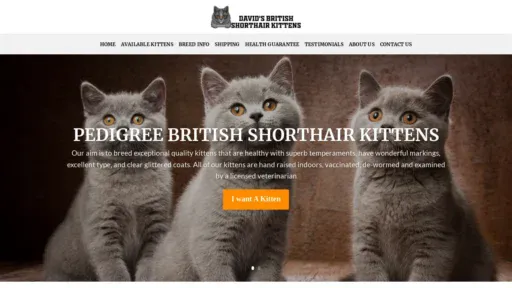 A screenshot of Davidsbritishshorthairkittens.com