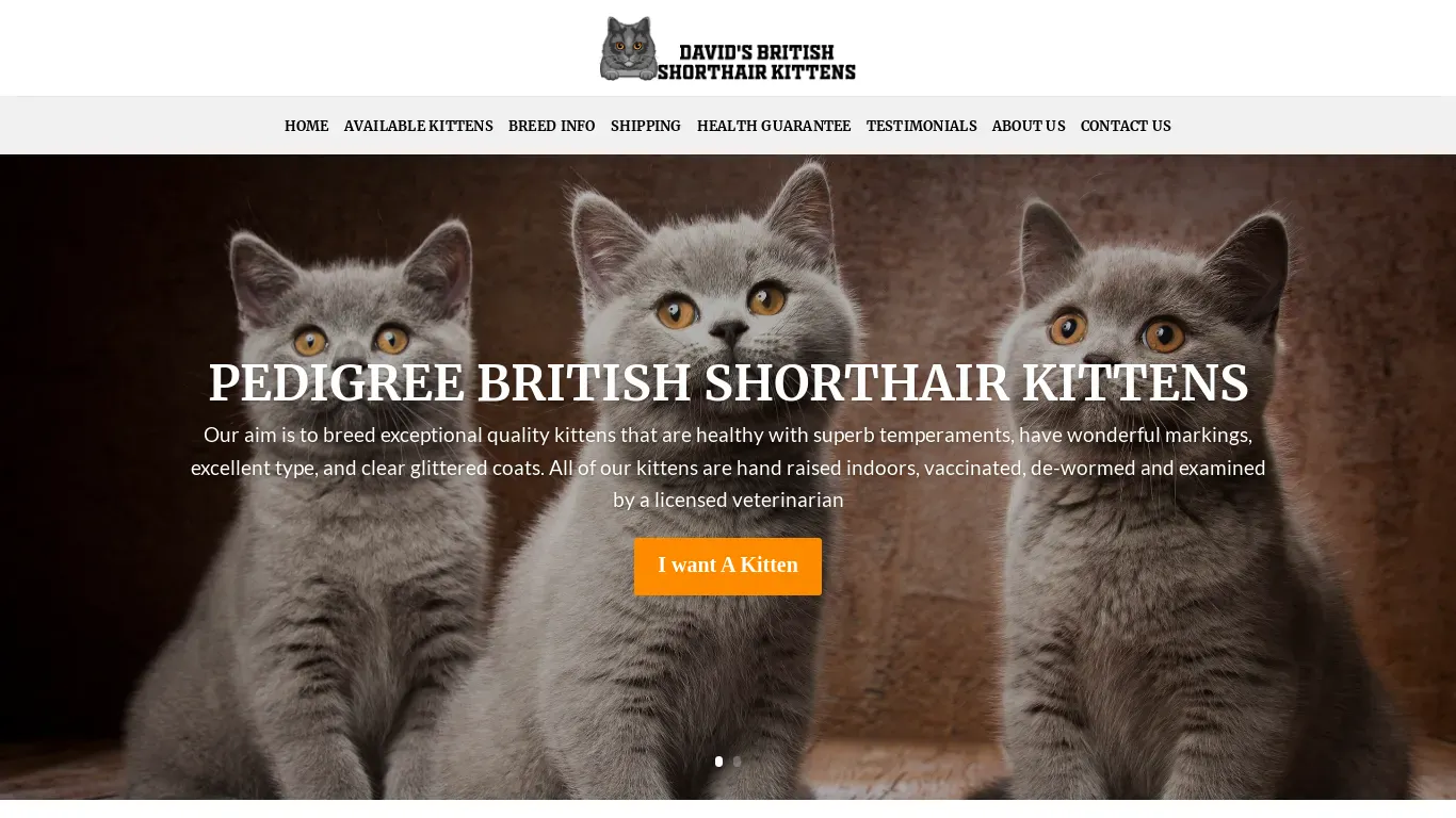 is davidsbritishshorthairkittens.com legit? screenshot