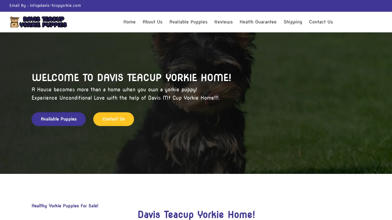 davis-tcupyorkie screenshot