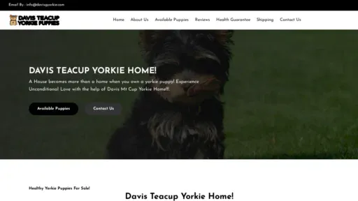 A screenshot of Davisgyorkie.com