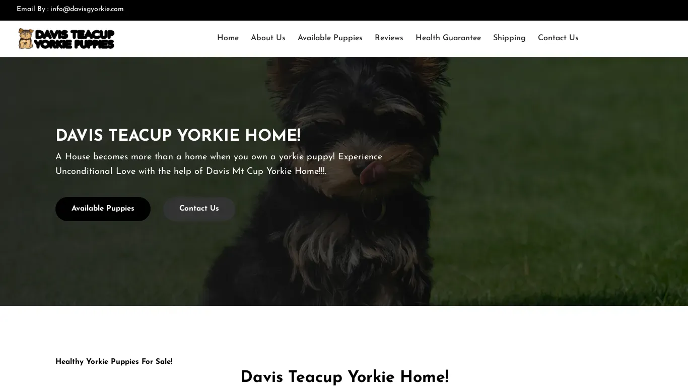 is davisgyorkie.com legit? screenshot