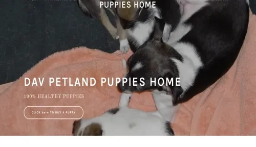 A screenshot of Genlanfamilystbernard.com