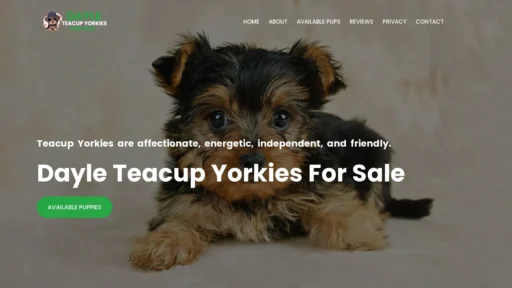A screenshot of Dayleteacupyorkiesforsale.com