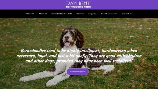 A screenshot of Daylightbernedoodlefarm.com