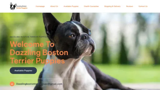 A screenshot of Dazzlingbostonterrierpups.com