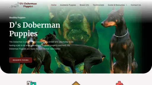 A screenshot of Ddobermanpuppies.com