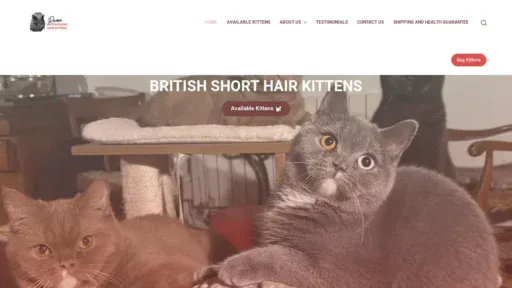 A screenshot of Deanbritishshorthairkittens.com