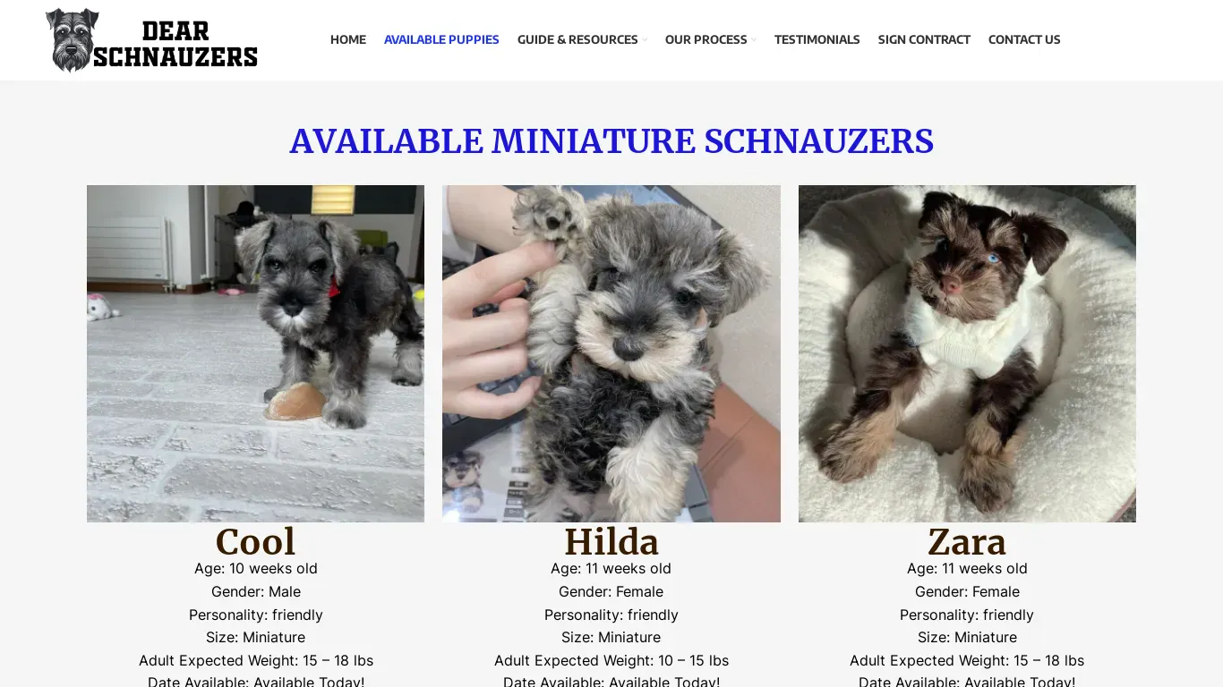 is Dear Schnauzers – Adopt A Schnauzer Puppy legit? screenshot