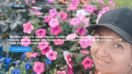 A screenshot of Deborahteacupyorkies.us
