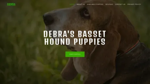 A screenshot of Debrawbassethoundpuppies.com