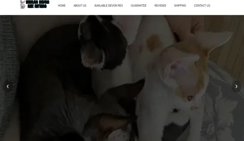 A screenshot of Genlanfamilystbernard.com