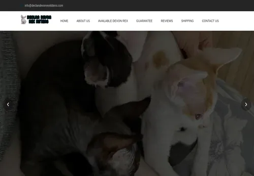 is declandevonrexkittens.com legit? screenshot
